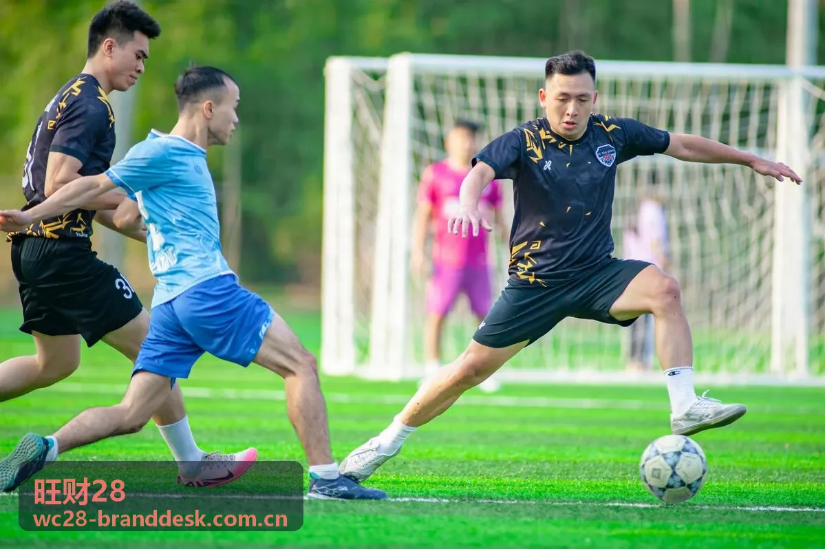 旺财28数据分析仪表盘展示